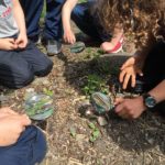 Children investigating the ground with magnifying glasses